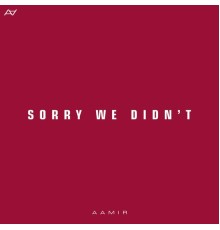 Aamir - Sorry We Didn't