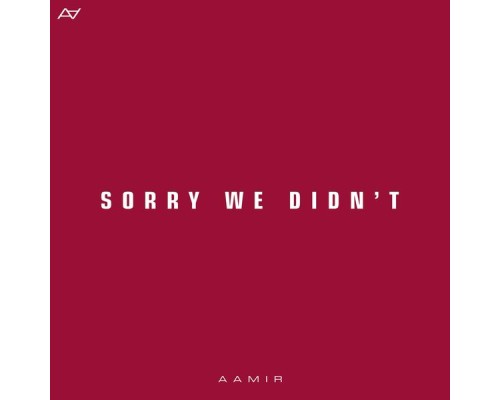 Aamir - Sorry We Didn't