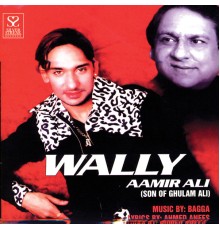 Aamir Ali - Wally