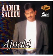 Aamir Saleem - Ajnabi