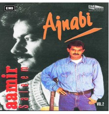 Aamir Saleem - Ajnabi, Vol. 2