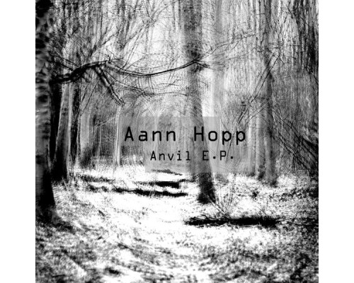 Aann Hopp - Anvil (Original Mix)