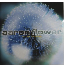 Aaron Flower - Fly Away