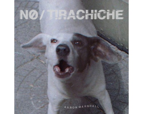 Aaron Marshall - No / Tirachiche
