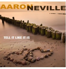 Aaron Neville - Tell It Like It Is