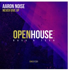 Aaron Noise - Never Give Up