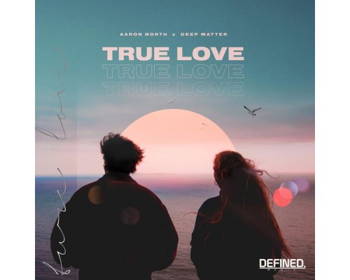 Aaron North - True Love