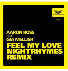 Aaron Ross - Feel My Love