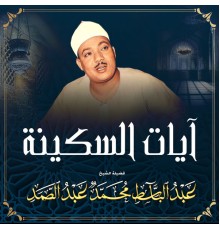 Abdulbasit Abdulsamad - آيات السكينة