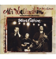 Abi Wallenstein feat. Steve Baker & Martin Röttger - Blues Culture