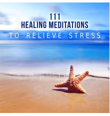 Absolutely Relaxing Oasis, nieznany, Marco Rinaldo - 111 Healing Meditations to Relieve Stress – Relaxing Natural Ambiences with Classical Indian Flute for Mindfulness Exercises, Yoga Practice