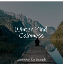 Academia de Meditação Buddha, Egyptian Meditation Temple, Nature Recordings - Winter Mind Calmness
