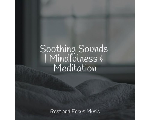 Academia de Meditação Buddha, Massagem, Guided Meditation Music Zone - Soothing Sounds | Mindfulness & Meditation