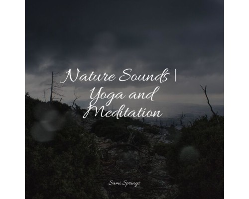 Academia de Meditação Buddha, Meditation Zen, Bath Spa Relaxing Music Zone - Nature Sounds | Yoga and Meditation