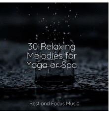 Academia de Meditação Buddha, Namaste Yoga, Binaural Beats Brain Waves Isochronic Tones Brainwave Entrainment - 30 Relaxing Melodies for Yoga or Spa