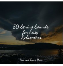 Academia de Música con Sonidos de la Naturaleza, Sound Sleeping, Baby Relax Music Collection - 50 Spring Sounds for Easy Relaxation