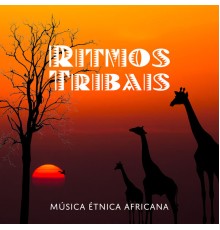 Academia de Música para Massagem Relaxamento - Ritmos Tribais – Música Étnica Africana para Yoga, Meditação e Relaxamento