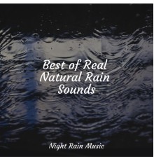 Academia de Música para Massagem Relaxamento, Hipnose Natureza Sons Coleção, Sounds of Nature for Deep Sleep and Relaxation - Best of Real Natural Rain Sounds