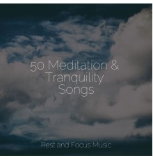 Academia de Música para Massagem Relaxamento, Relaxing Mindfulness Meditation Relaxation Maestro, Relaxation Sleep Meditation - 50 Meditation & Tranquility Songs