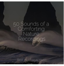 Academia de Música para Massagem e Relaxamento, Massage Therapy Music, Spa Relaxation - 50 Sounds of a Comforting Nature Recordings