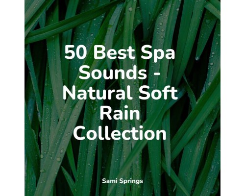 Academia de Relaxamento e Meditação, Baby Relax Music Collection, Sleep Lullabies for Newborn - 50 Best Spa Sounds - Natural Soft Rain Collection