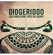 Académie de méditation spirituelle - Didgeridoo - Les vibrations très relaxant