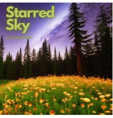 Accumul8ter - Starred Sky