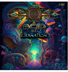 Acid DJ - LSDination