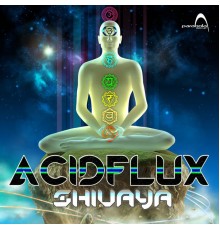 Acidflux - Shivaya