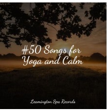 Active Baby Music Workshop, Meditação Yoga, The Sleep Principle - #50 Songs for Yoga and Calm