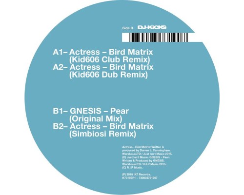 Actress - Bird Matrix (Remixes)