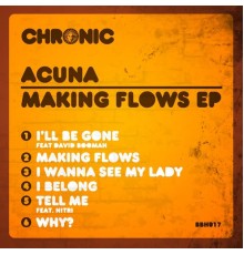 Acuña - Making Flows