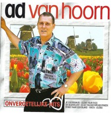 Ad van Hoorn - Onvergetelijke hits