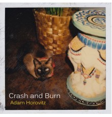 Adam Horovitz - Crash and Burn