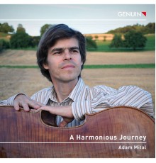 Adam Mital - A Harmonious Journey