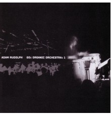 Adam Rudolph - Go: Organic Orchestra: Vol. 1