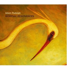 Adam Rudolph - Morphic Resonances