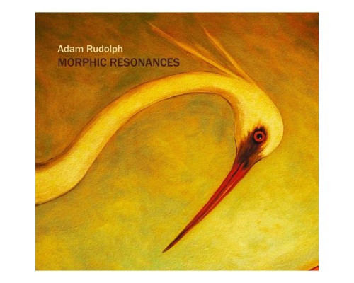 Adam Rudolph - Morphic Resonances