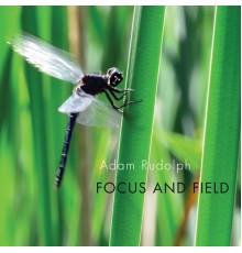 Adam Rudolph - Focus and Field