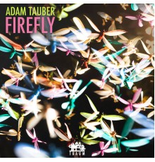 Adam Tauber  - Firefly