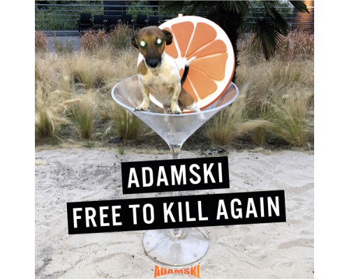 Adamski - Free to Kill Again