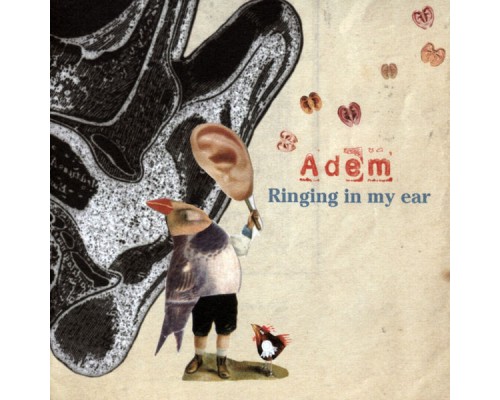 Adem - Ringing In My Ear