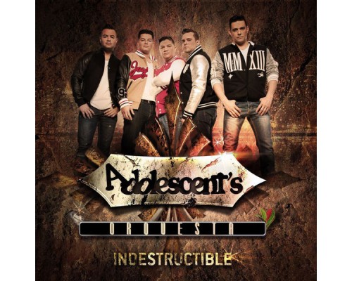 Adolescent's Orquesta - Indestructible
