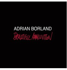 Adrian Borland - Beautiful Ammunition