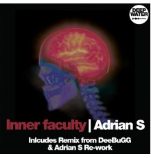 Adrian S - Inner Faculty