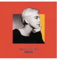 Adriana Calcanhotto - Senhas (Album Version)
