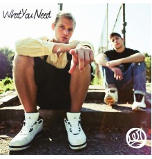 Aer - What You Need EP