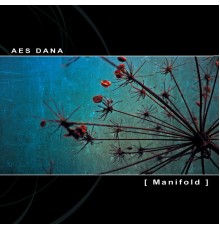 Aes Dana - Manifold