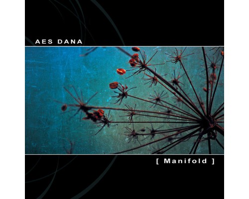 Aes Dana - Manifold