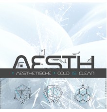 Aesthetische - Cold Is Clean